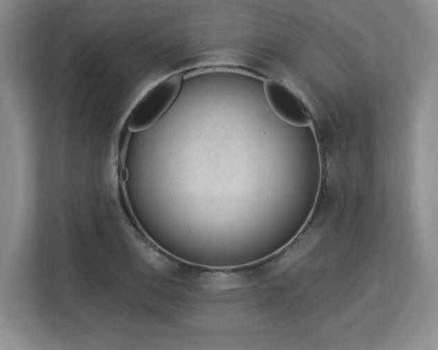 X0000112741124200908201341