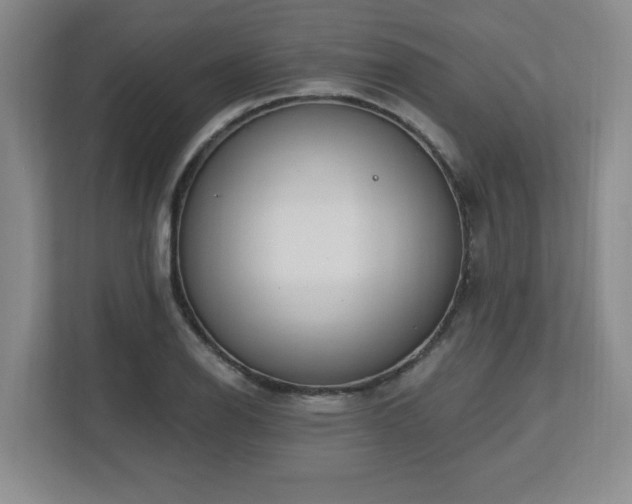 X0000112741126200908201341