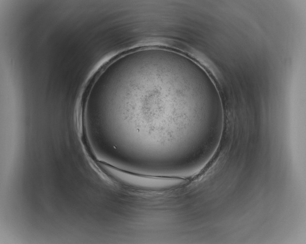 X0000112741127200908201341