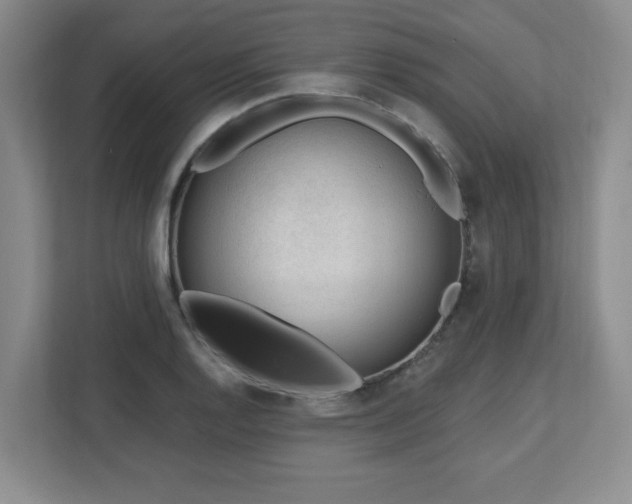 X0000112741128200908201341