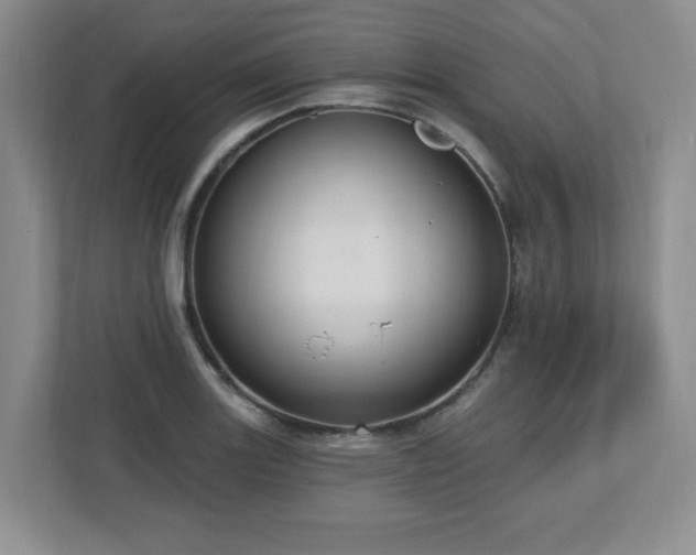 X0000112741131200908201341