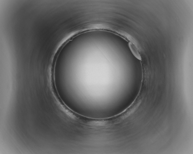 X0000112741134200908201341