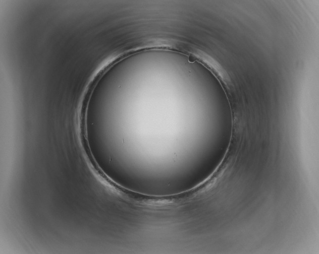 X0000112741135200908201341
