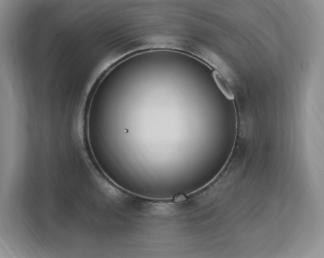 X0000112741136200908201341