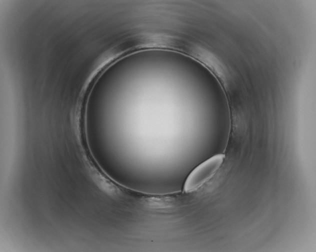 X0000112741138200908201341