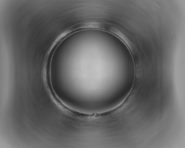 X0000112741139200908201341