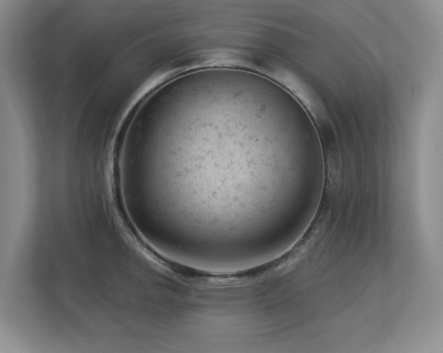 X0000112741142200908201341