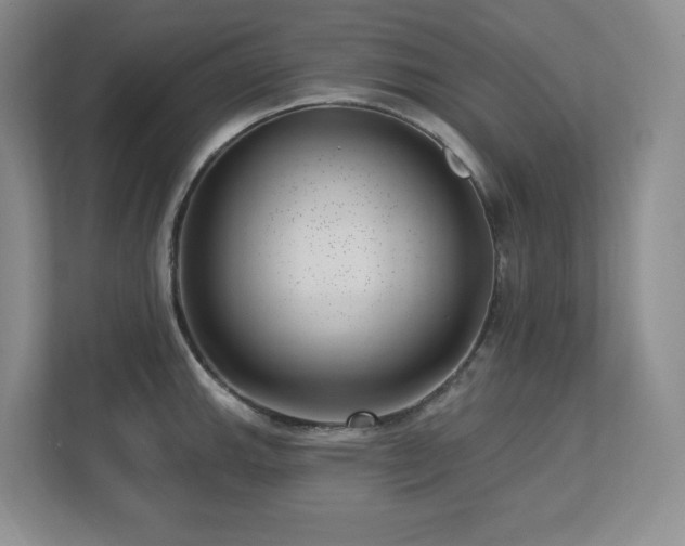 X0000112741143200908201341