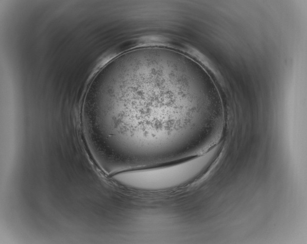 X0000112741145200908201341
