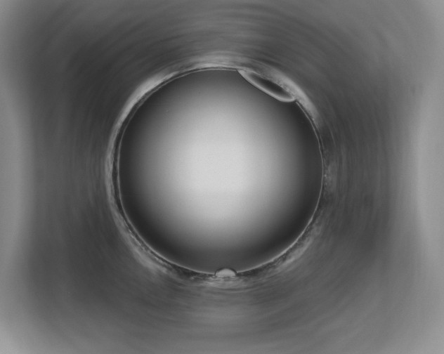 X0000112741146200908201341
