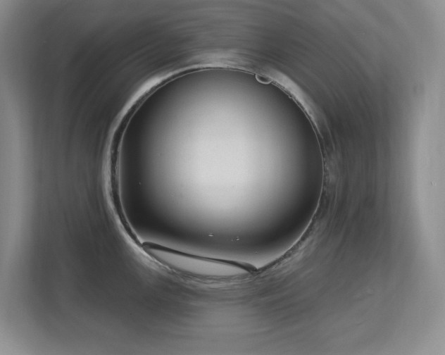 X0000112741147200908201341
