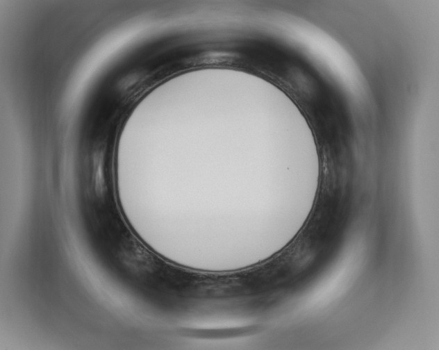 X0000112741150200908201341