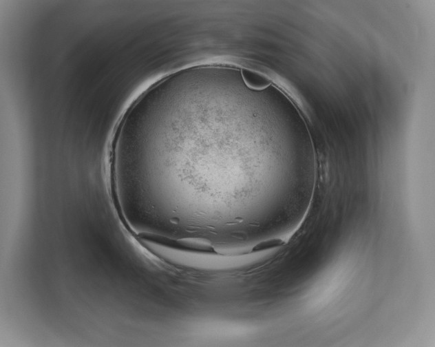 X0000112741151200908201341
