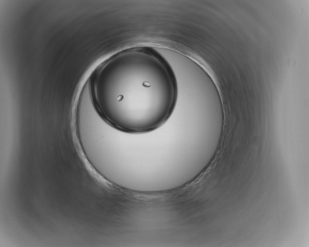 X0000112741152200908201341