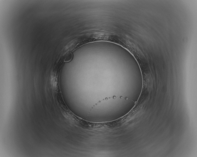 X0000112741154200908201340