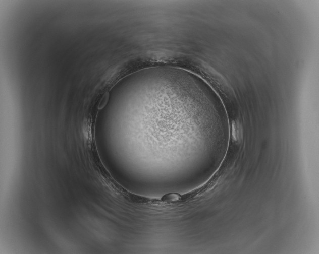 X0000112741155200908201340