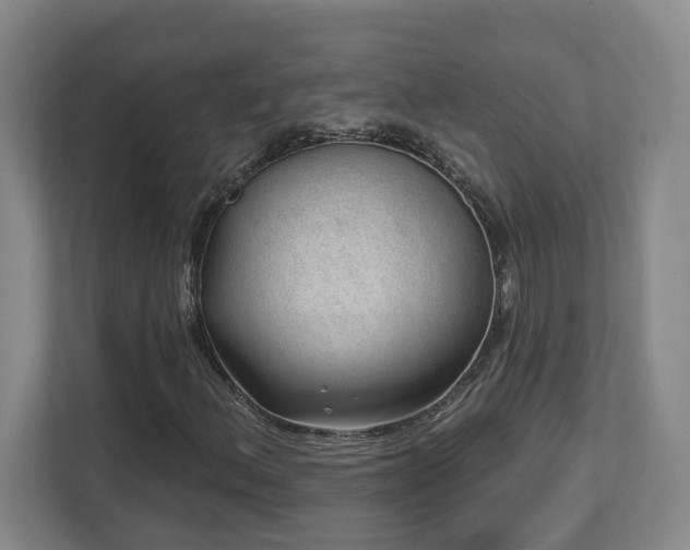 X0000112741156200908201340