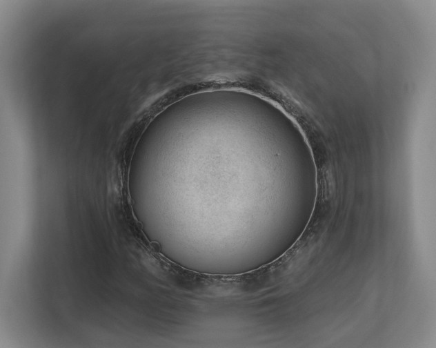 X0000112741158200908201340