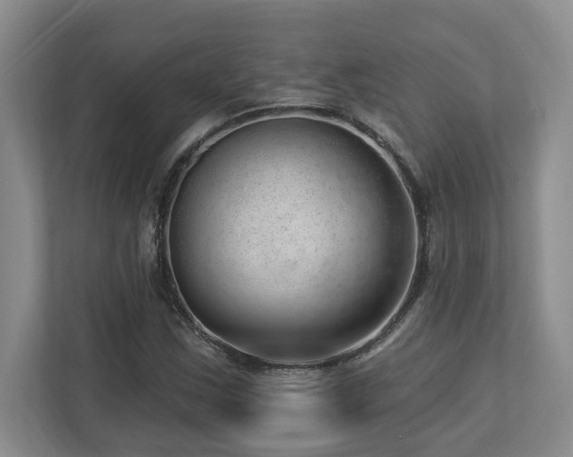 X0000112741163200908201340