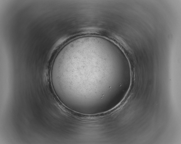 X0000112741164200908201340