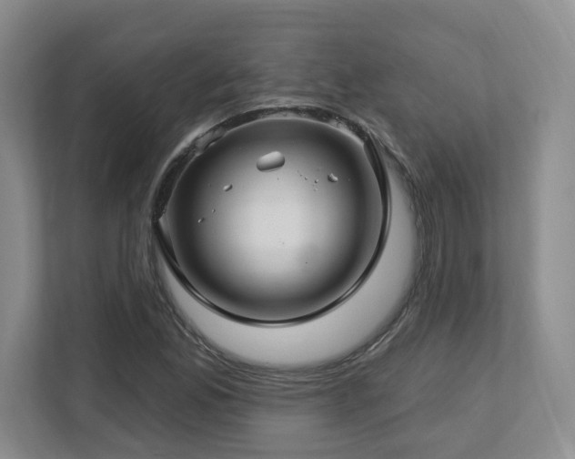 X0000112741165200908201340