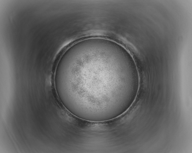 X0000112741166200908201340
