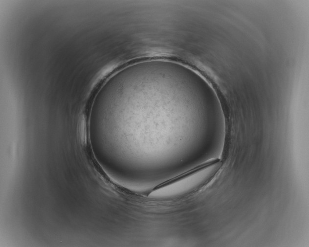 X0000112741171200908201340