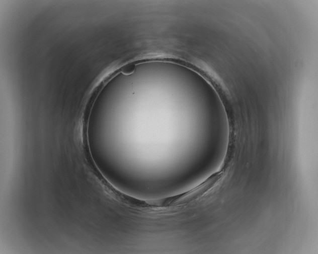X0000112741173200908201340