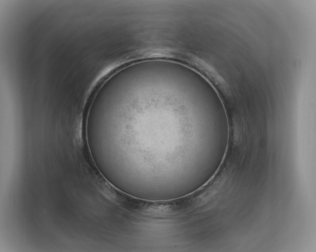 X0000112741174200908201340
