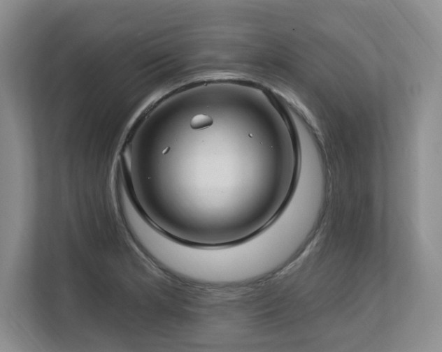 X0000112741181200908201340