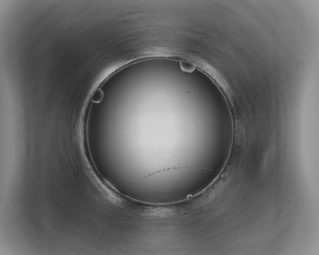 X0000112741187200908201340