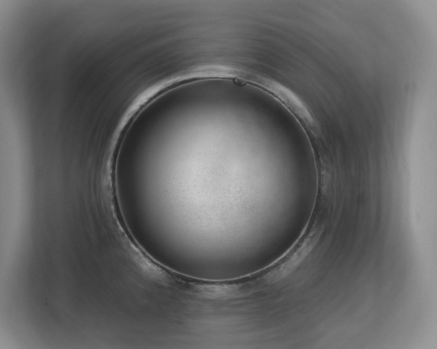 X0000112741192200908201340