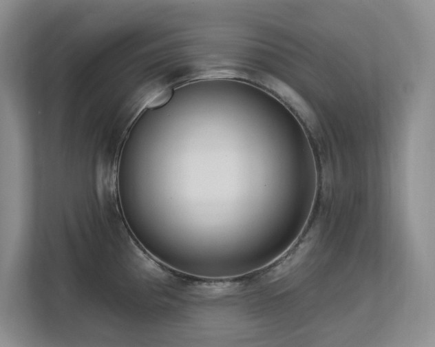 X0000112741193200908201340