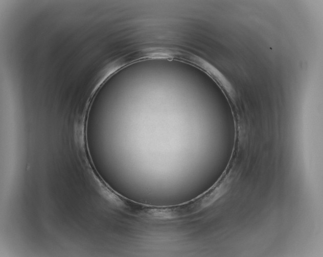 X0000112741194200908201340