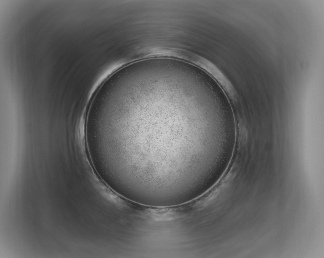 X0000112741198200908201340