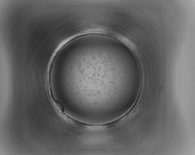 X0000112741200200908201340