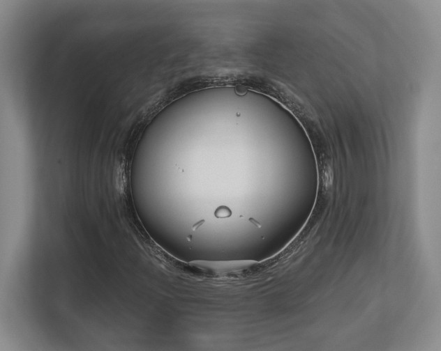X0000112741204200908201339