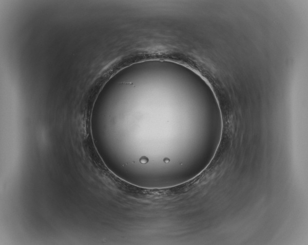 X0000112741205200908201339