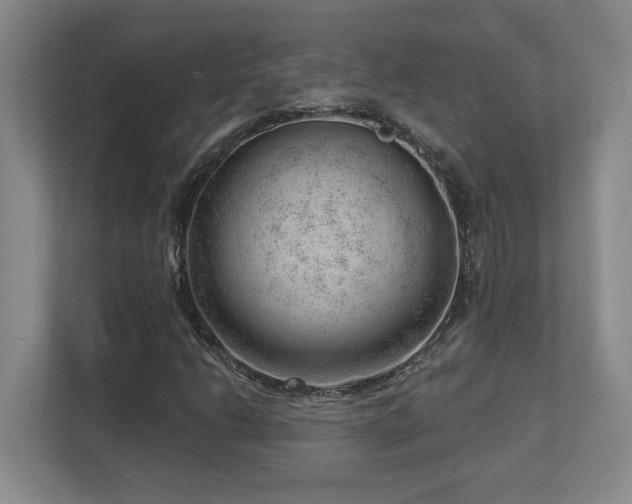 X0000112741206200908201339