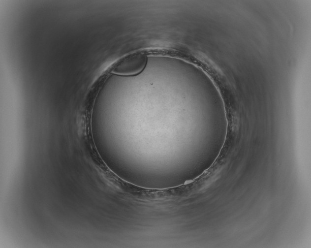 X0000112741208200908201339