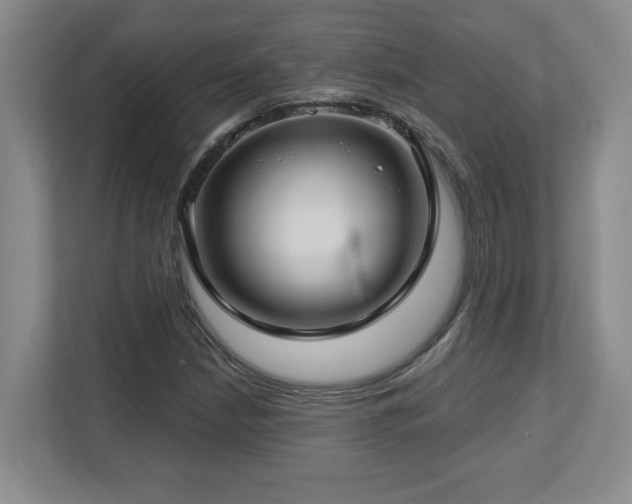 X0000112741210200908201339