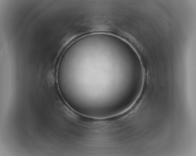 X0000112741212200908201339