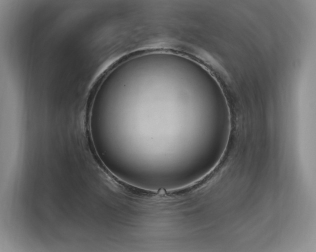 X0000112741216200908201339