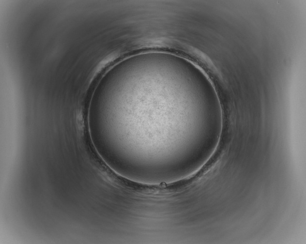 X0000112741218200908201339