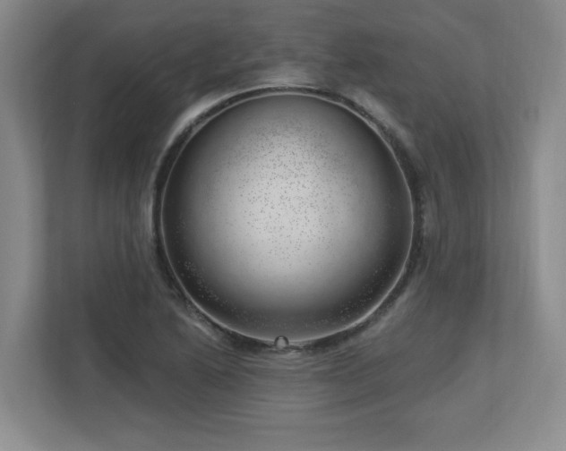 X0000112741222200908201340