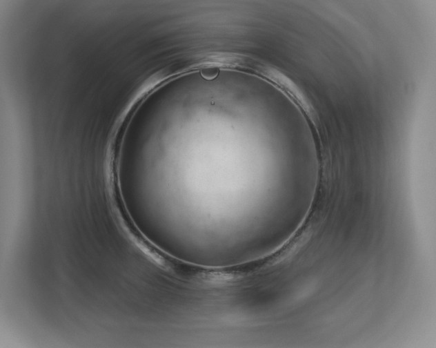 X0000112741235200908201340