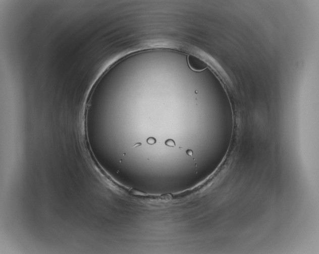 X0000112741236200908201340