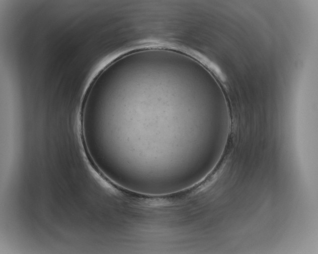 X0000112741239200908201340
