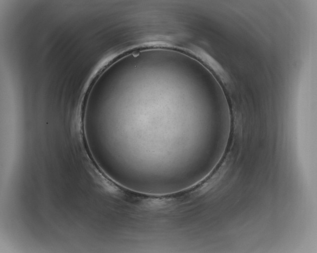 X0000112741240200908201340