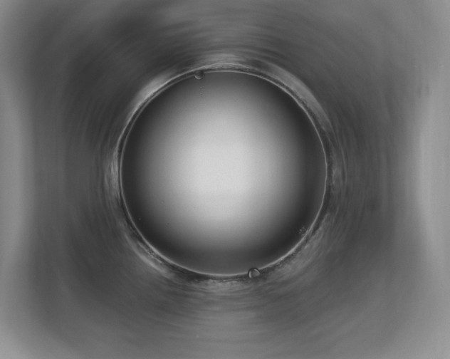 X0000112741242200908201340